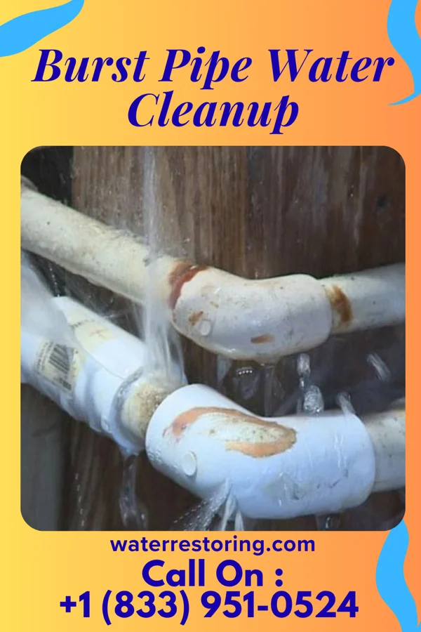 Burst Pipe Water Cleanup in Eaton Rapids, MI