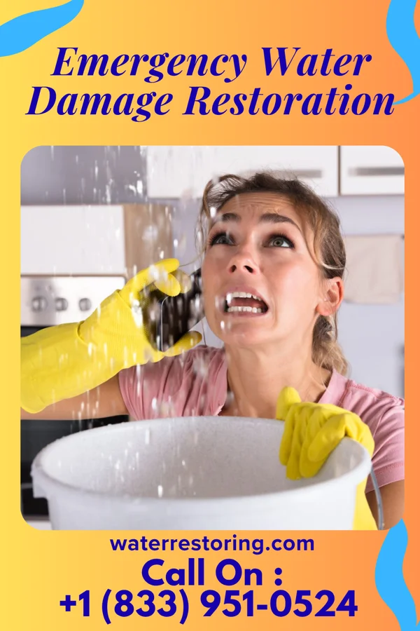 Emergency Water Damage Restoration in Eaton Rapids, MI