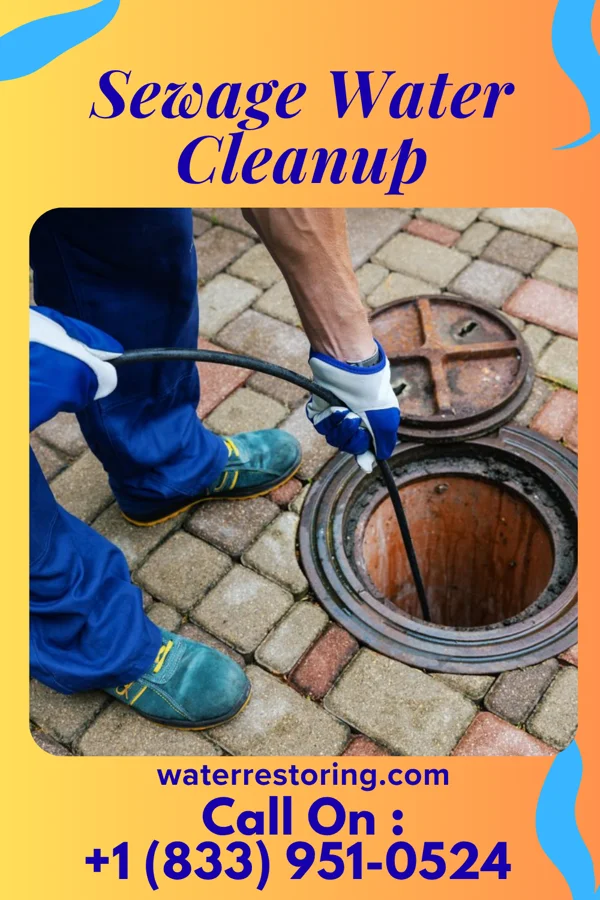 Sewage Water Cleanup in Eaton Rapids, MI